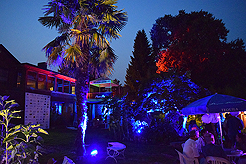 DAYLIGHT, DARK NIGHT AND BLUE SKIES WITH PAPA BUENO